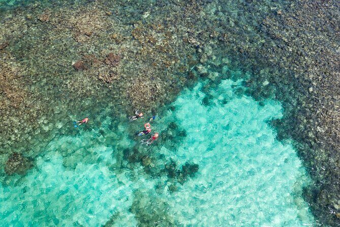 Puerto Morelos Catamaran Reef Sail and Snorkel - What Travelers Are Saying
