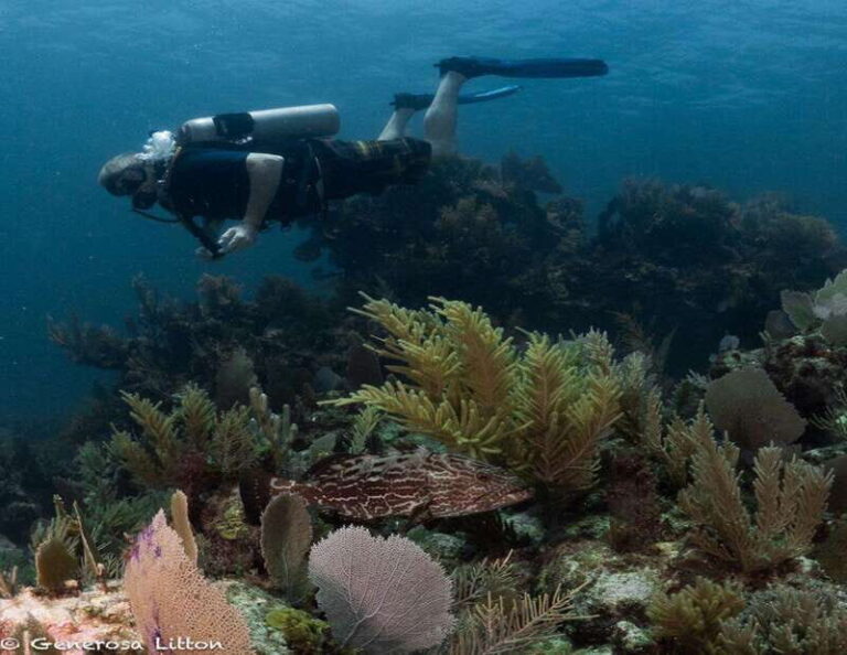 Puerto Morelos: Diving at the C56 Shipwreck - Who Will Love This Tour?