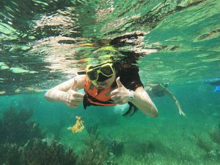Puerto Morelos: Guided Snorkeling Tour with Gear & Fees - The Sum Up