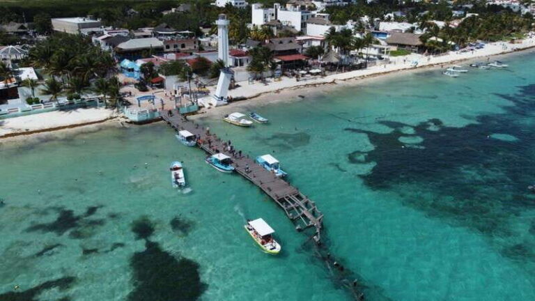 Puerto Morelos: Scuba Diving for Beginners - 2 Dives - Final Thoughts