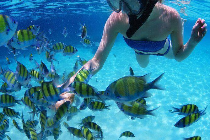 Puerto Morelos Snorkel Nature Tour ! Private from Cancun - Value and Practical Tips