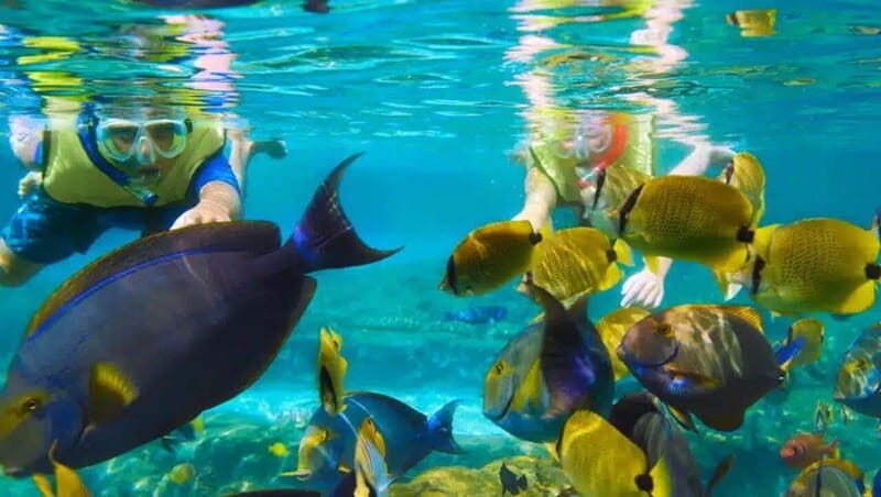 Puerto Morelos: Snorkeling at The National Reef Park