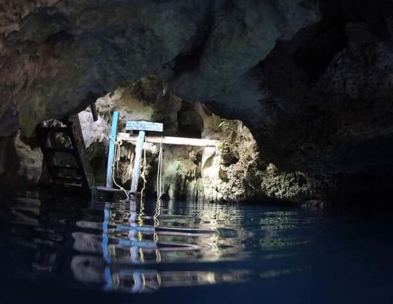 Puerto Morelos: Snorkeling In Cenotes - What to Expect on the Day