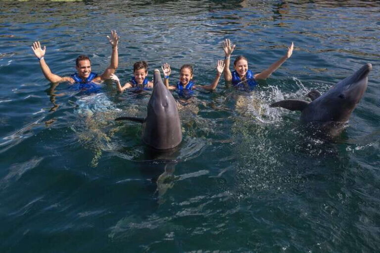 Puerto Morelos: Swim with Dolphins - Analyzing the Value