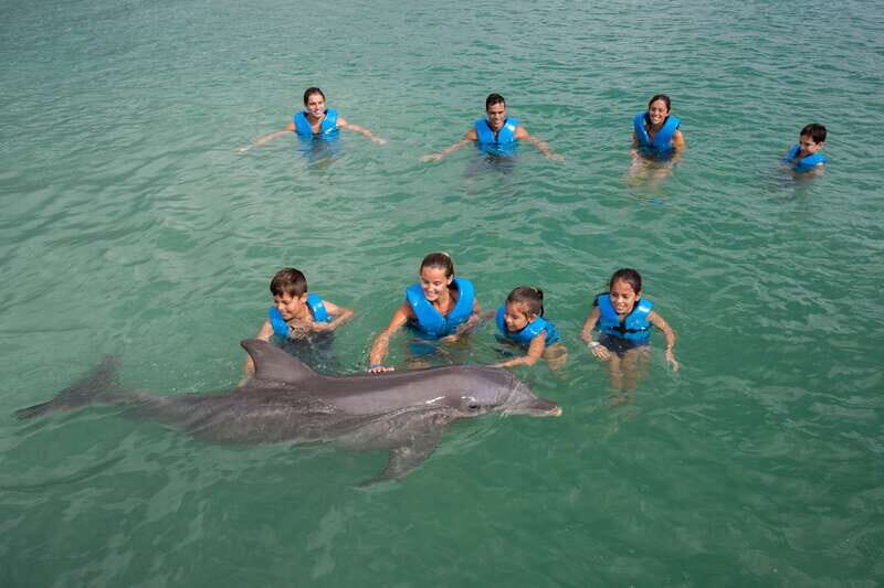 Puerto Morelos: Swim with dolphins Primax