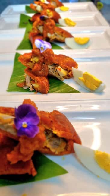 Puerto Morelos: Tequila University Gourmet Experience - The Itinerary: Breaking Down the Experience