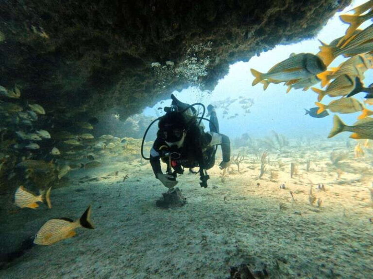 Puerto Morelos: Two Reef Dives for Certified Divers - Exploring the Itinerary: What to Expect
