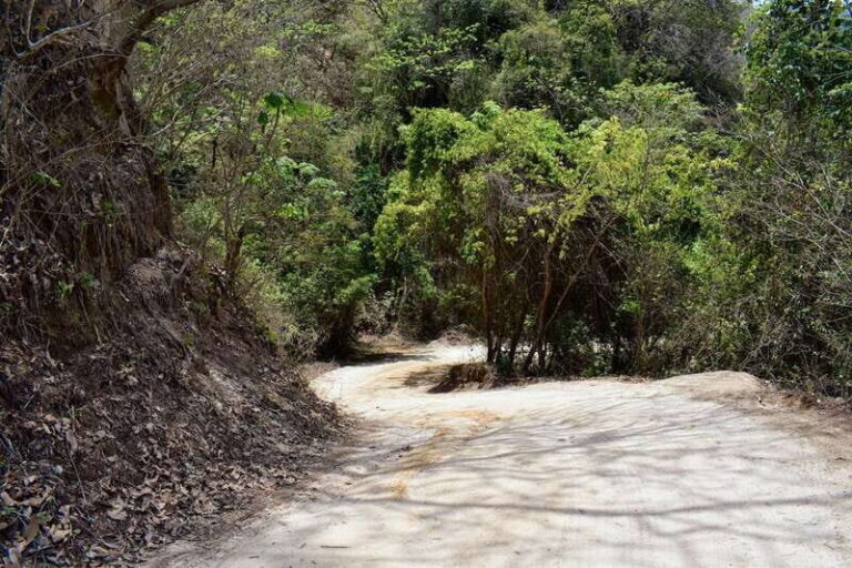 Puerto Vallarta: ATV & Zip Line Combo Adventure - What You’ll See and Feel
