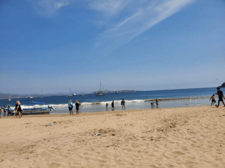 Puerto Vallarta: Beach Tour Experience - Transportation, Timing, and Group Dynamics
