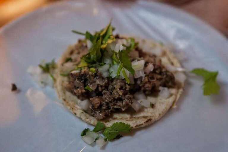 Puerto Vallarta: Bikes and Bites Tour - Who Should Consider This Tour?