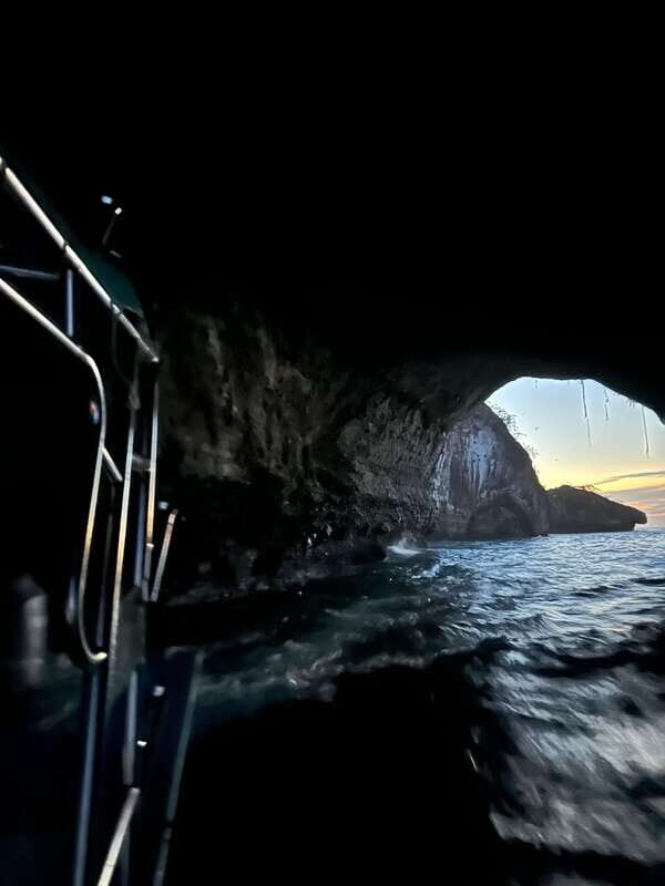 Puerto Vallarta: Bioluminescence in Los Arcos Marine Park - The Practicalities