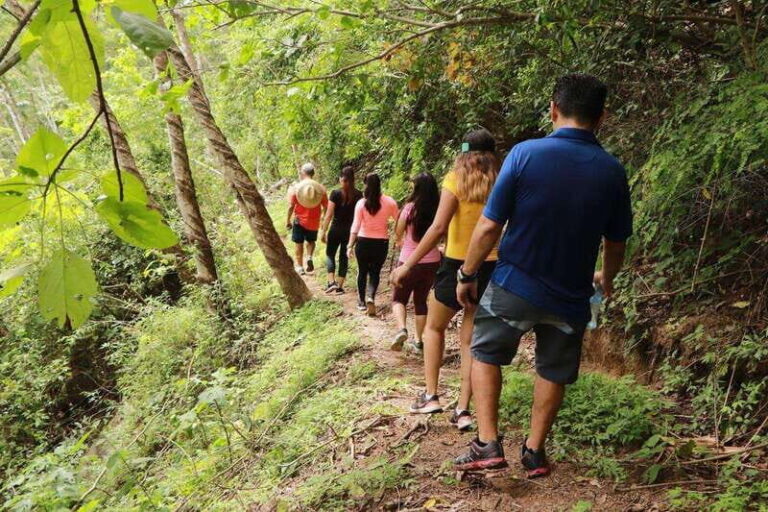 Puerto Vallarta: Botanical Garden Walking Tour - The Riverside Walk and Los Veranos Adventure Park