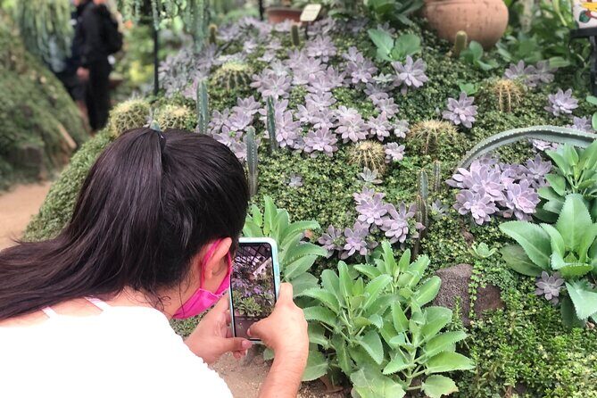 Puerto Vallarta Botanical Gardens Hiking Tour - Who Will Love This Tour?