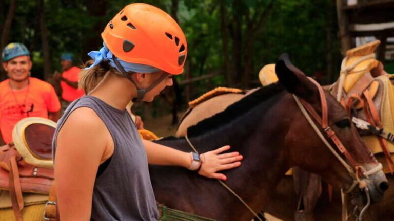 Puerto Vallarta: Canopy River Zip Line Tour with Mule Ride - What’s Included and What’s Not