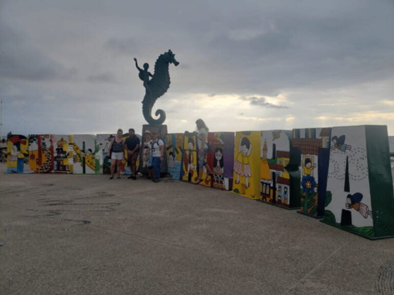 Puerto Vallarta: City Tour - Practical Details and Value