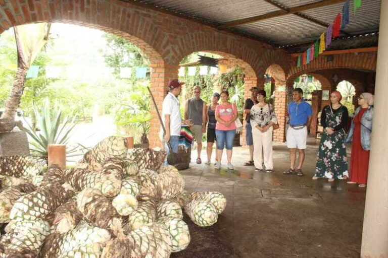 Puerto Vallarta: City Tour, Tequila and Coffee Factory Tour - Practical Details and Tips