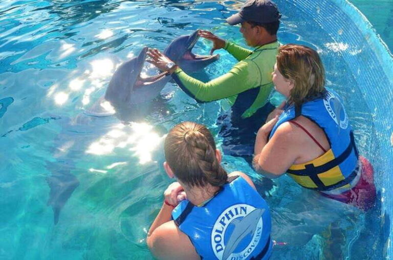 Puerto Vallarta: Dolphin Royal Swim at Aquaventuras Park - Key Points