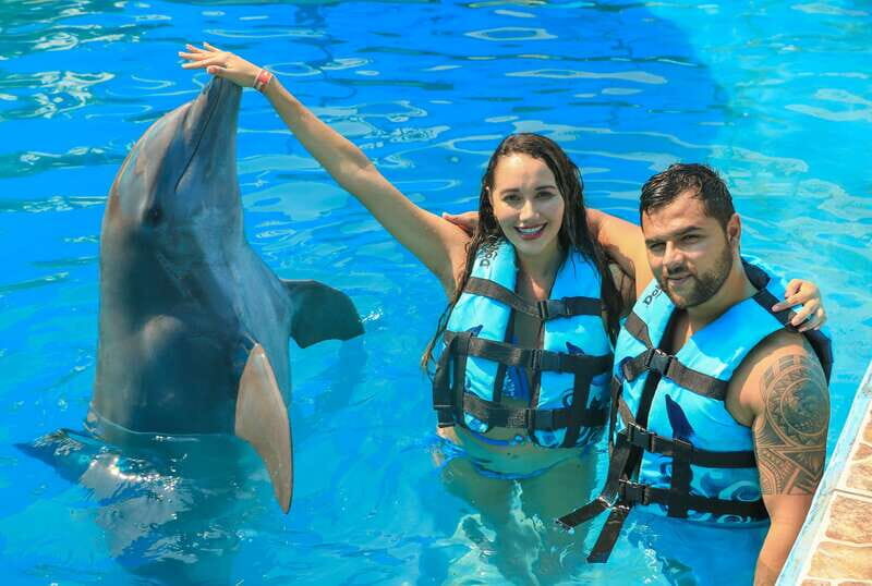 Puerto Vallarta: Dolphin Swimming and Aquaventuras Park - The Value of the Dolphin Experience