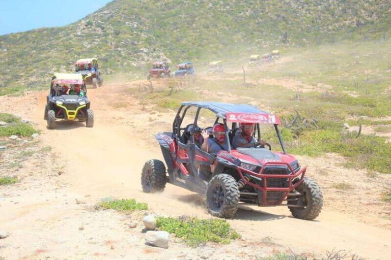 Puerto Vallarta: El Eden Horseback Riding - What to Expect: From River Trails to Hollywood Hills