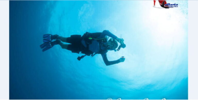 Puerto Vallarta: Exclusive Dive Adventure - The Itinerary: What’s in Store