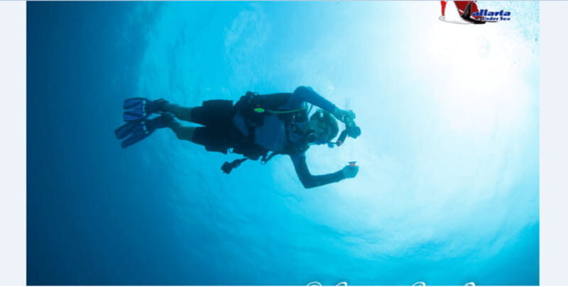 Puerto Vallarta: Exclusive Dive Adventure - The Itinerary: What’s in Store