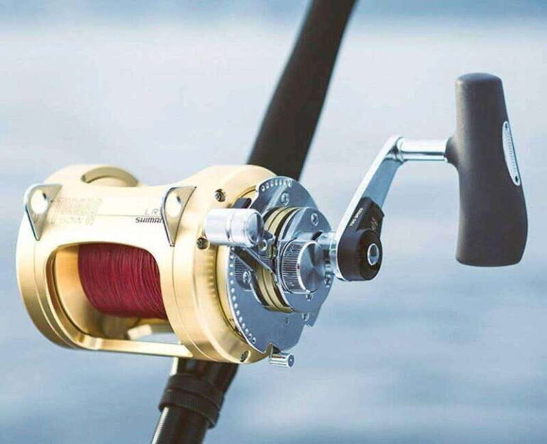Puerto Vallarta: Fishing Lucky I 28 - Final Thoughts