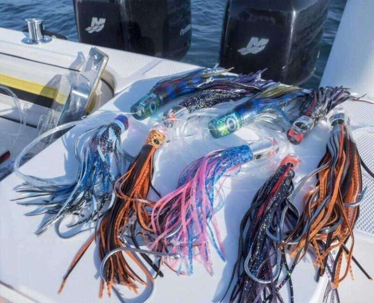 Puerto Vallarta: Fishing Pami I 27 - Who Should Consider This Tour?