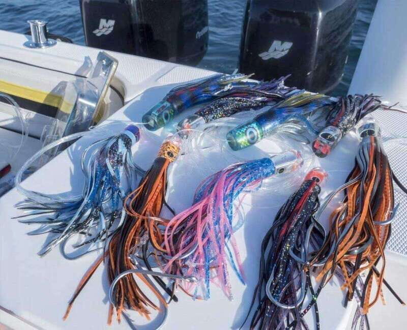 Puerto Vallarta: Fishing Pami I 27 - Who Should Consider This Tour?