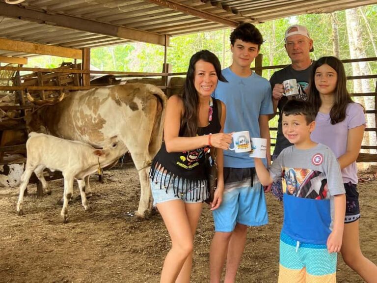 Puerto Vallarta: Hands-on Farm Experience from Cow to Cheese - The Value and Practicalities