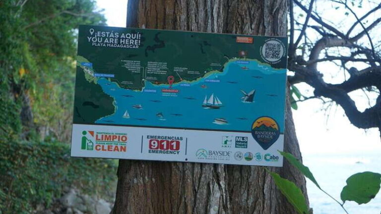 Puerto Vallarta: Hidden Beaches and Sea Adventures - What’s Included and Practical Details
