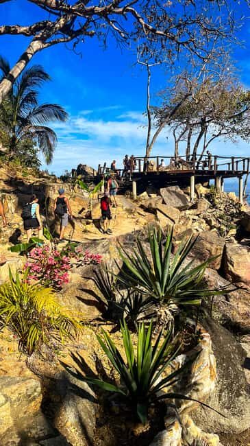 Puerto Vallarta: Hiking Trail, 6 Hidden Beaches & Zipline. - What Reviews Say