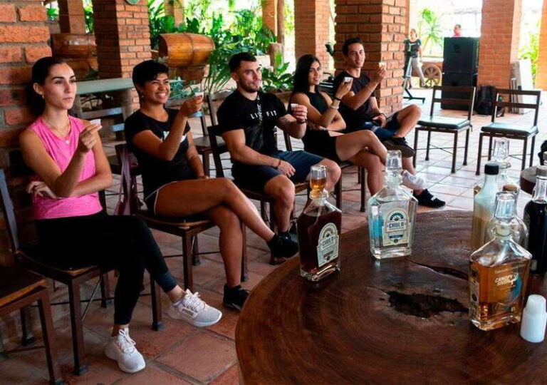 Puerto Vallarta: Horseback Riding Adventure at Canopy River - Who This Tour Suits Best