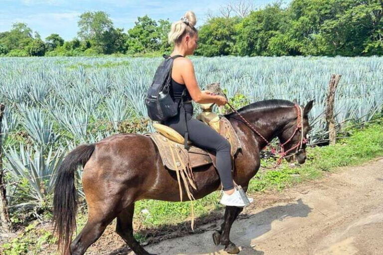 Puerto Vallarta: Horseback Riding at Hacienda Doña Engracia - Who Will Appreciate This Tour?