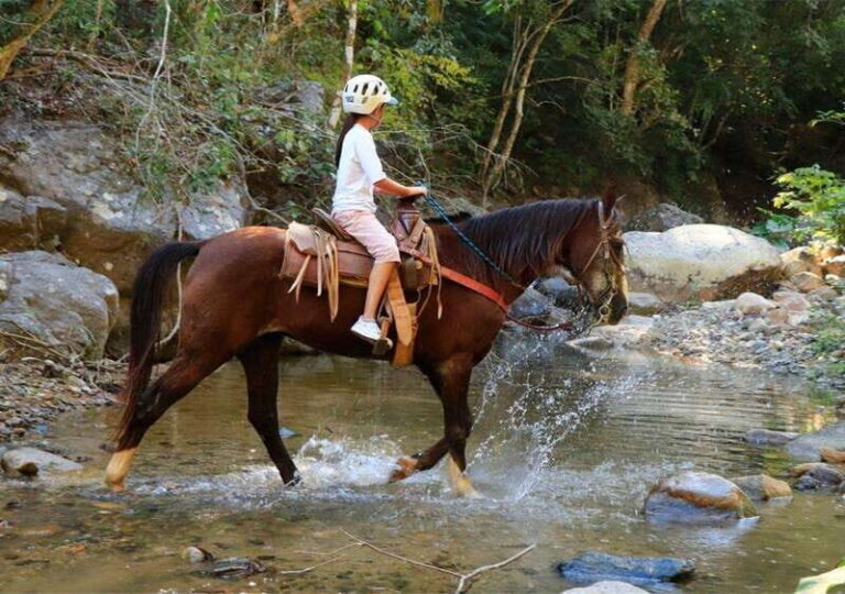 Puerto Vallarta: Horseback Riding + Jorullo Bridge Pass - Analyzing the Value