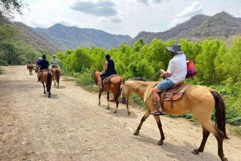Puerto Vallarta: Horseback Riding, Lunch & Unlimited Drinks - Analyzing the Value