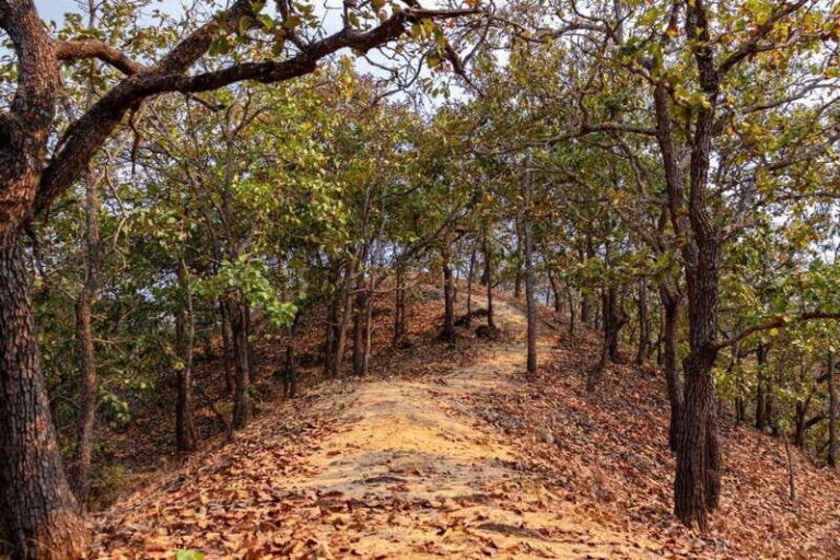 Puerto Vallarta: Jorullo Paradise Hiking Adventure - Who Would Enjoy This Tour?
