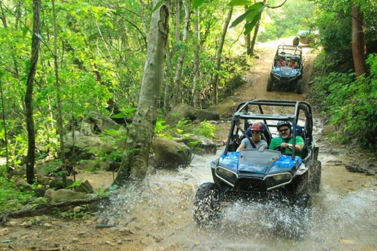 Puerto Vallarta: Jungle ATV or Razer Adventure - The Vehicles: ATV vs. Razer