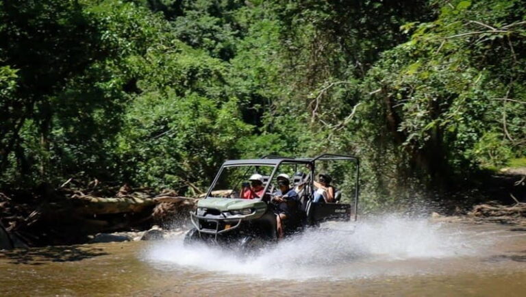 Puerto Vallarta: Jungle Side by Side Adventure - Why This Tour Offers Great Value
