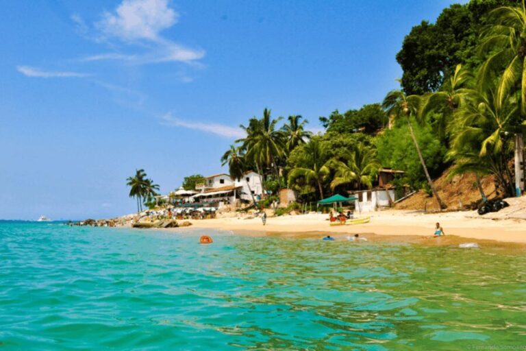 Puerto Vallarta: Los Arcos, Ánimas, and Quimixto Boat Tour - Who Is This Tour For?