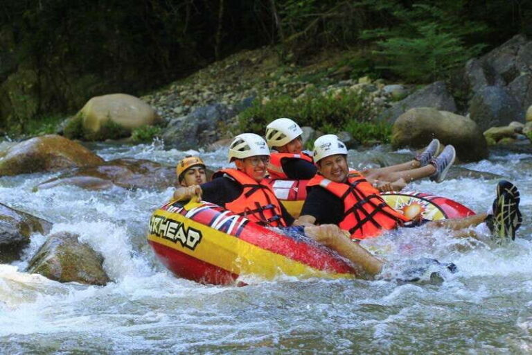 Puerto Vallarta: Mountain Expedition, Mule Ride Tequila Tour - The Experience - Pros and Cons