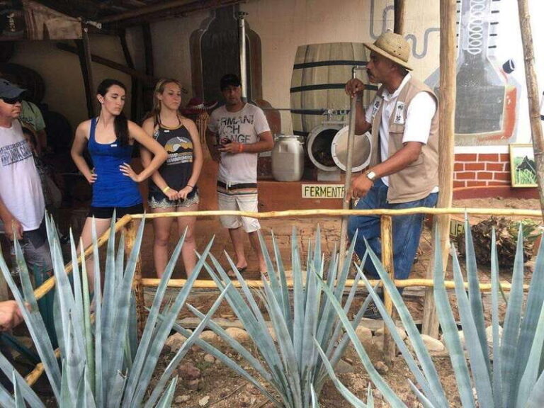 Puerto Vallarta: Predator ATV & Tequila Tour - Practical Details & Tips