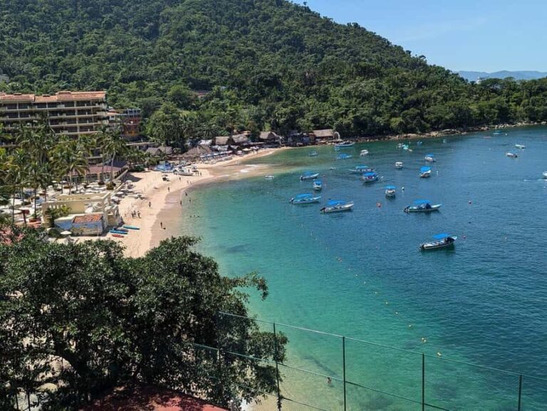Puerto Vallarta: Private Colomitos & Madagascar Beaches Tour - What’s Included and What’s Not