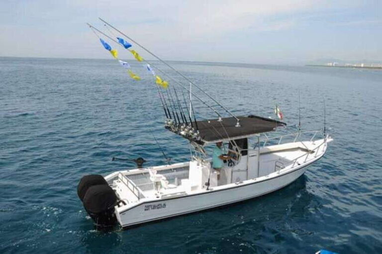 Puerto Vallarta: Private Ocean Adventure - Who Should Book This Tour?