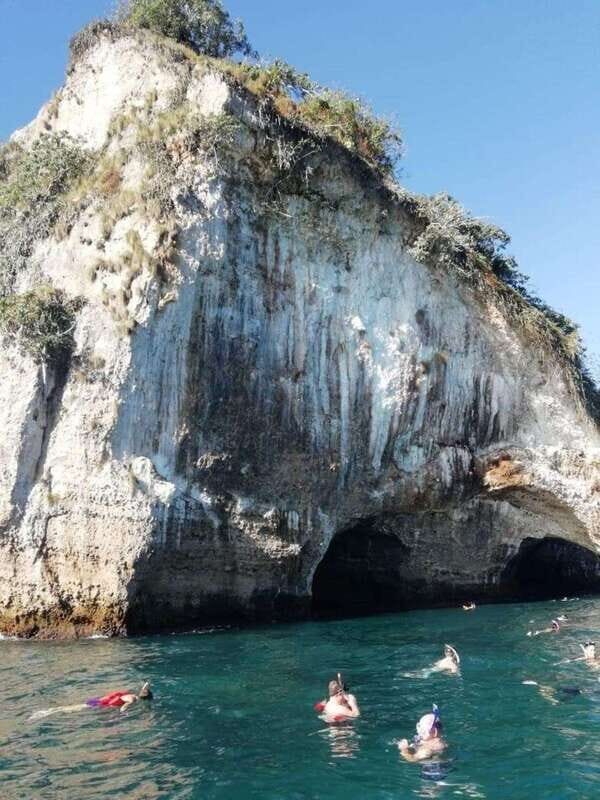 Puerto Vallarta: Private Tour Los Arcos Snorkeling - Why the Price Reflects Value