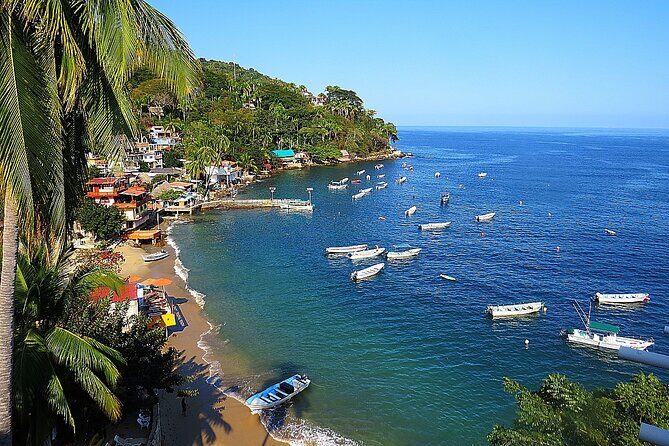Puerto Vallarta: Private Yelapa Beach & Snorkel Tour on a Yacht - Who Would Love This Tour?