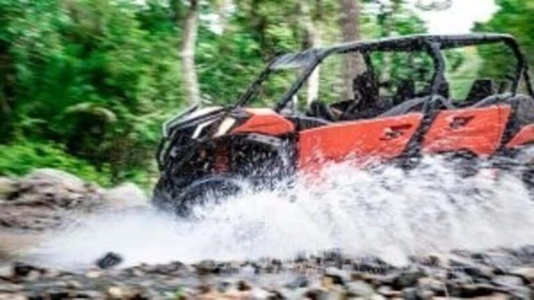 Puerto Vallarta: RZR Viking El Eden - The Value of This Tour