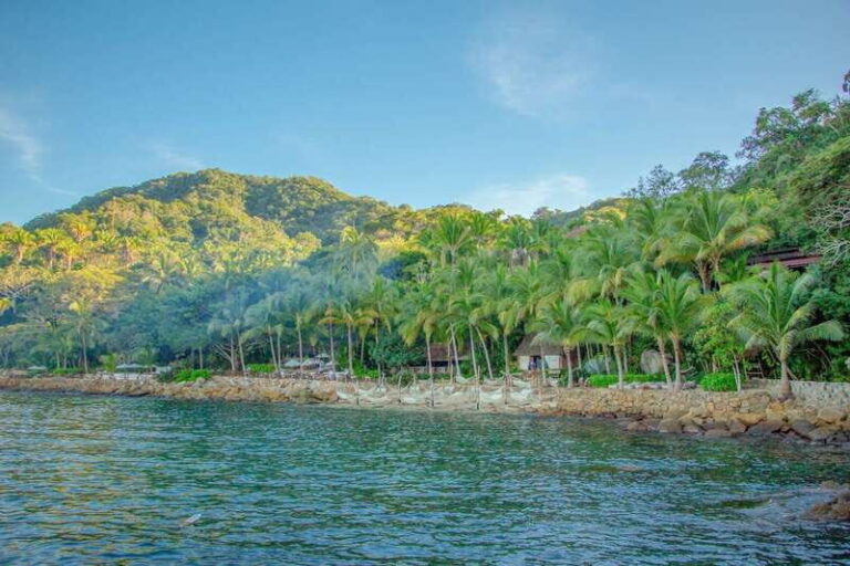 Puerto Vallarta: Scuba Dive in Las Caletas - Why This Tour Is Worth Considering