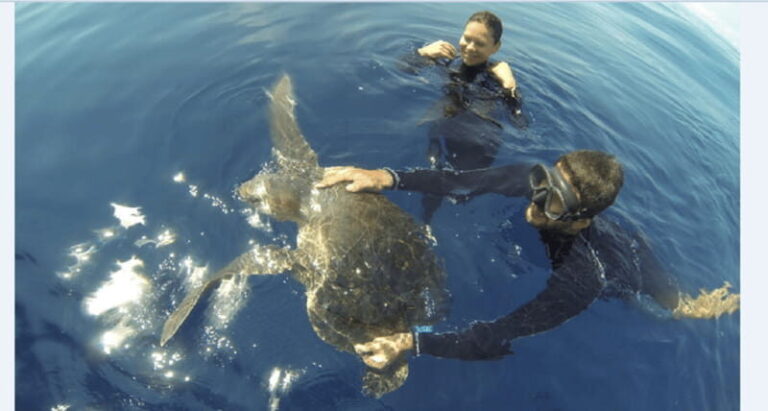 Puerto Vallarta: Scuba Diving en el Morro - Who Should Consider This Tour?
