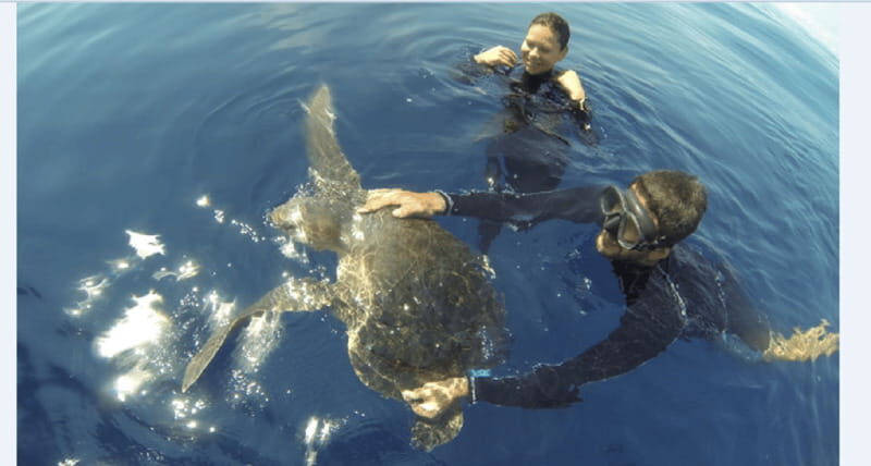 Puerto Vallarta: Scuba Diving en el Morro - Who Should Consider This Tour?