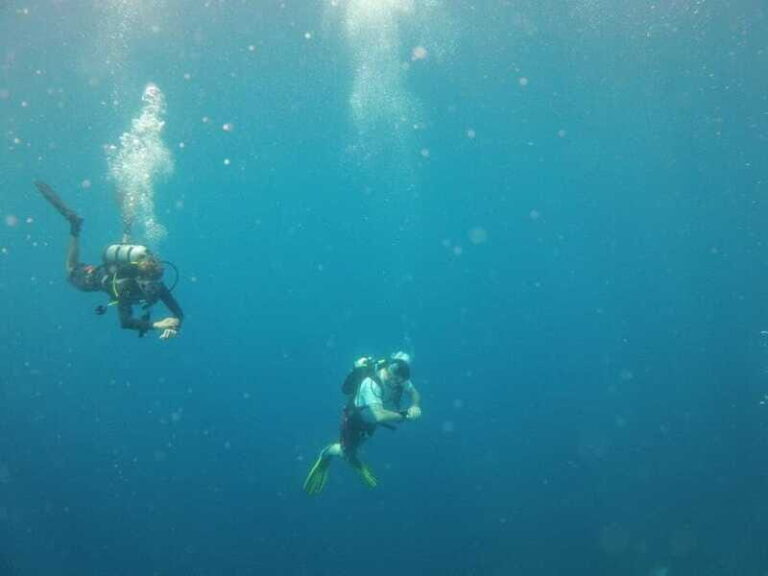 Puerto Vallarta: Scuba Diving Expedition at El Malinal - The Value: Is It Worth the Price?